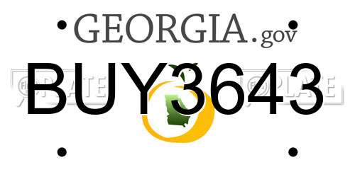 BUY3643 Georgia License Plate