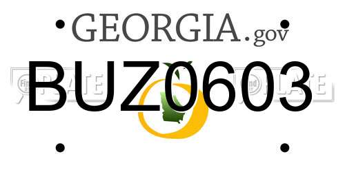 BUZ0603 Georgia License Plate