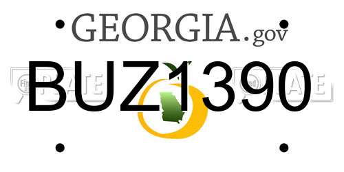 BUZ1390 Georgia License Plate