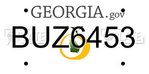 BUZ6453 Georgia License Plate