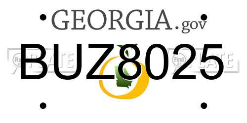 BUZ8025 Georgia License Plate