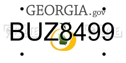 BUZ8499 Georgia License Plate