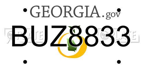 BUZ8833 Georgia License Plate