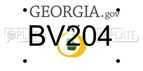 BV204 Georgia License Plate