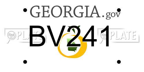 BV241 Georgia License Plate