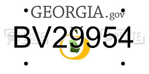 BV29954 Georgia License Plate