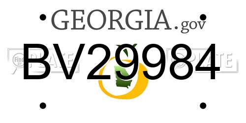 BV29984 Georgia License Plate