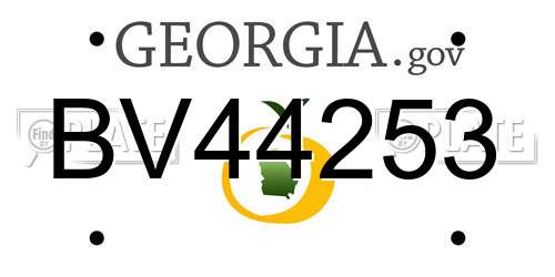 BV44253 Georgia License Plate