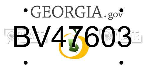 BV47603 Georgia License Plate