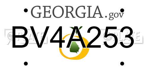 BV4A253 Georgia License Plate