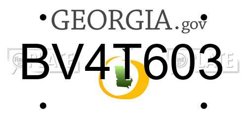 BV4T603 Georgia License Plate