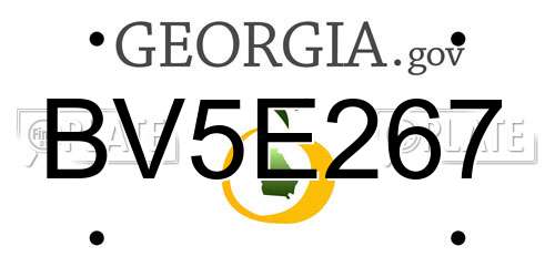BV5E267 Georgia License Plate