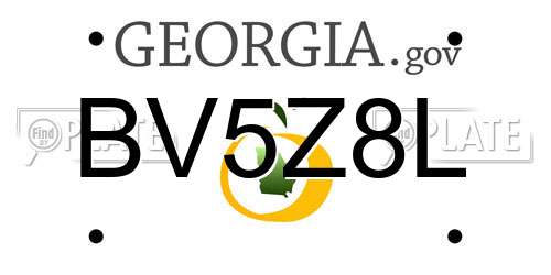 BV5Z8L Georgia License Plate