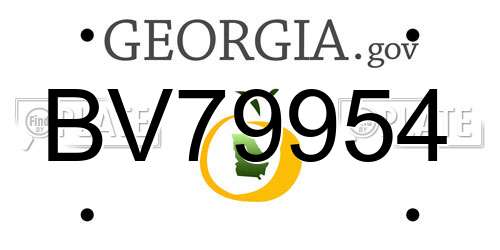 BV79954 Georgia License Plate
