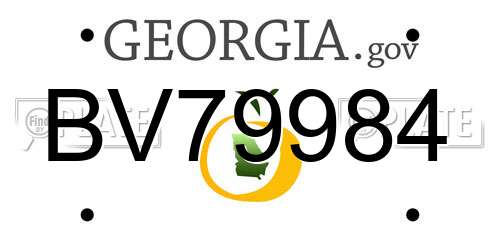 BV79984 Georgia License Plate