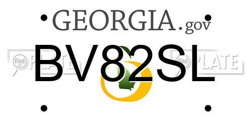 BV82SL Georgia License Plate