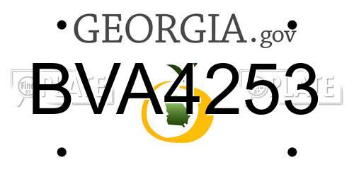 BVA4253 Georgia License Plate