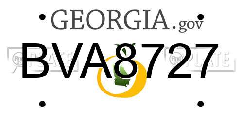 BVA8727 Georgia License Plate