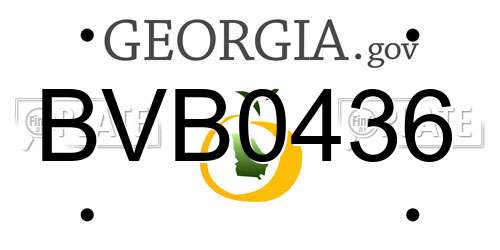 BVB0436 Georgia License Plate