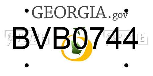 BVB0744 Georgia License Plate