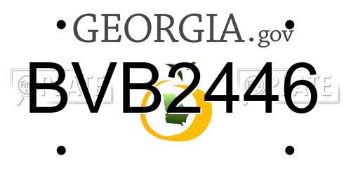BVB2446 Georgia License Plate