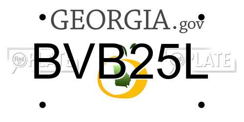 BVB25L Georgia License Plate