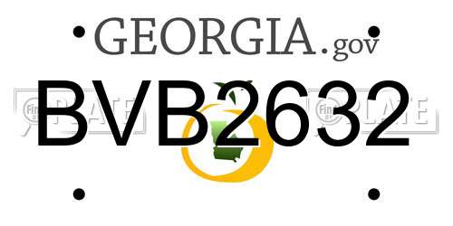 BVB2632 Georgia License Plate