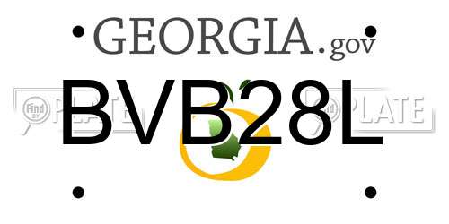 BVB28L Georgia License Plate