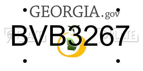 BVB3267 Georgia License Plate