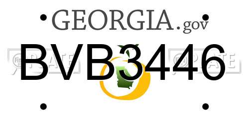 BVB3446 Georgia License Plate
