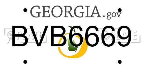 BVB6669 Georgia License Plate