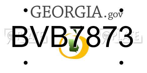 BVB7873 Georgia License Plate