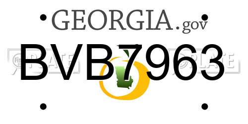 BVB7963 Georgia License Plate