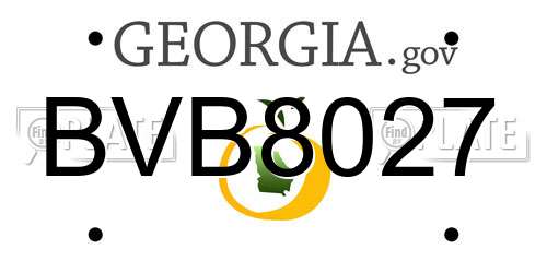 BVB8027 Georgia License Plate