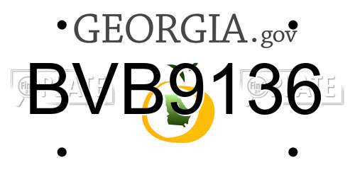 BVB9136 Georgia License Plate