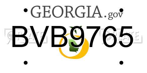 BVB9765 Georgia License Plate