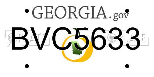 BVC5633 Georgia License Plate
