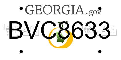 BVC8633 Georgia License Plate