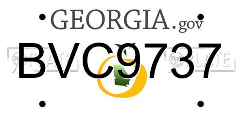 BVC9737 Georgia License Plate