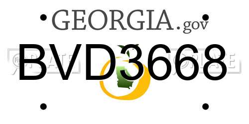 BVD3668 Georgia License Plate