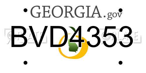 BVD4353 Georgia License Plate