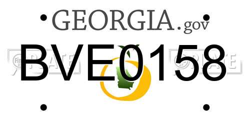BVE0158 Georgia License Plate