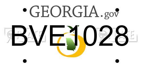 BVE1028 Georgia License Plate