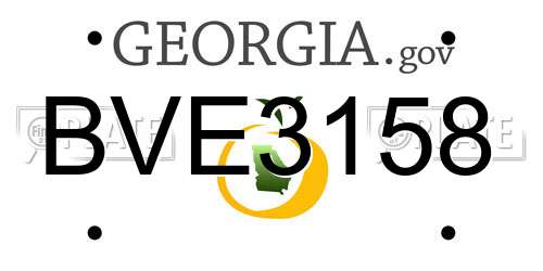 BVE3158 Georgia License Plate