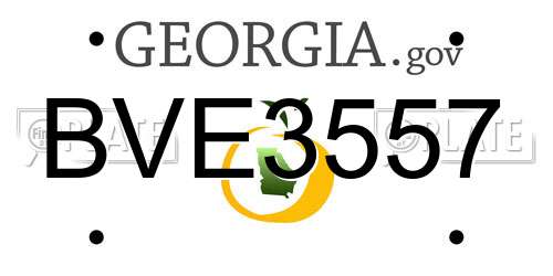 BVE3557 Georgia License Plate
