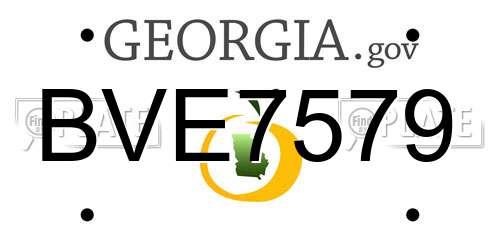 BVE7579 Georgia License Plate