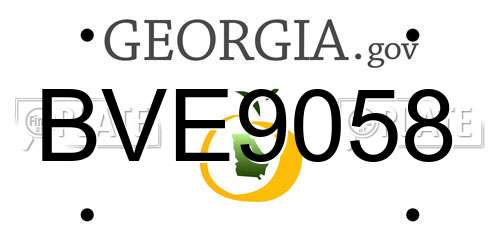 BVE9058 Georgia License Plate