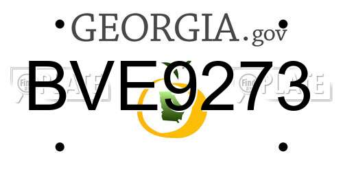 BVE9273 Georgia License Plate