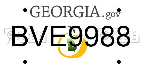 BVE9988 Georgia License Plate