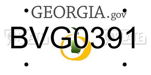 BVG0391 Georgia License Plate